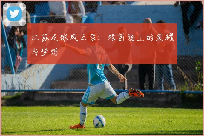 江苏足球风云录：绿茵场上的荣耀与梦想