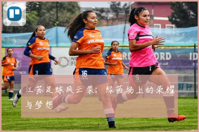 江苏足球风云录:绿茵场上的荣耀与梦想