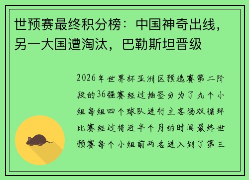 世预赛最终积分榜：中国神奇出线，另一大国遭淘汰，巴勒斯坦晋级